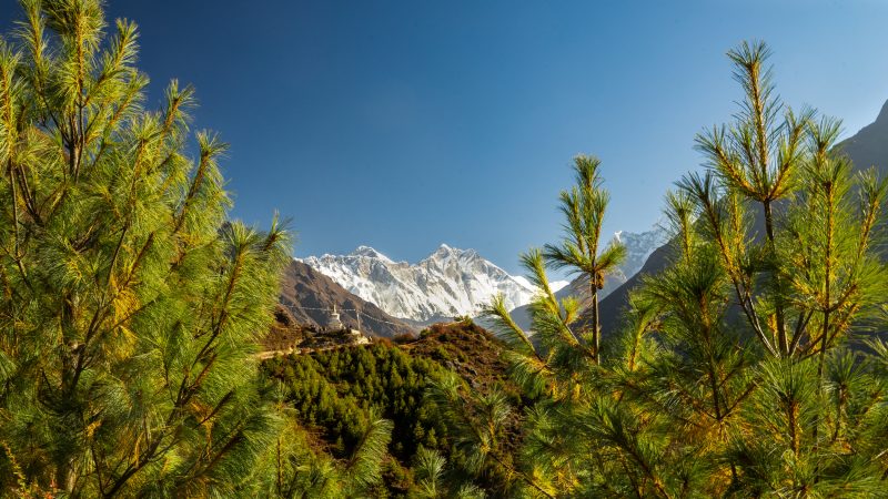 Trek Everest Camp