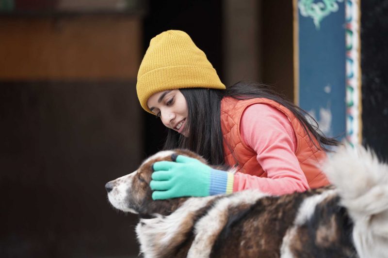 Animal friendly gloves and woolen cap