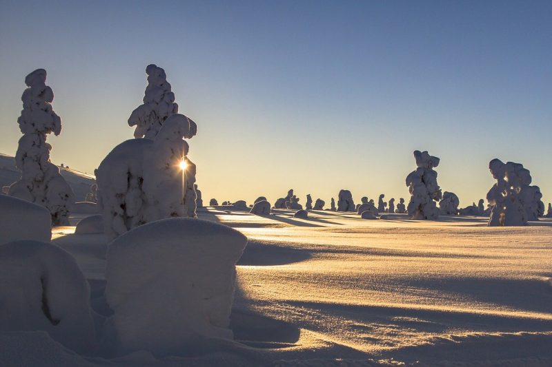 Snow covered Finland Winter