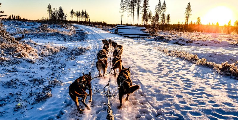 What to wear in Finland during Winter