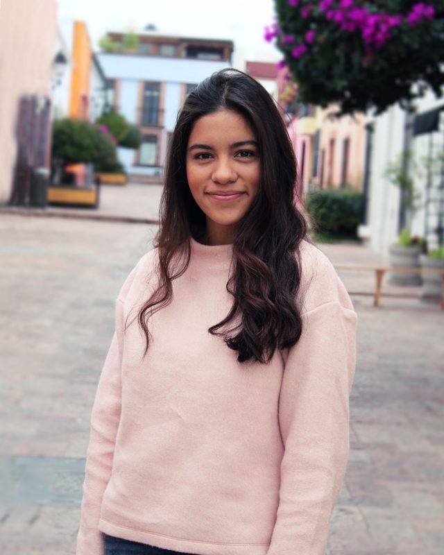 pink winter sweatshirts