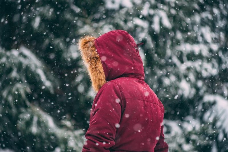 hood on a winter jacket